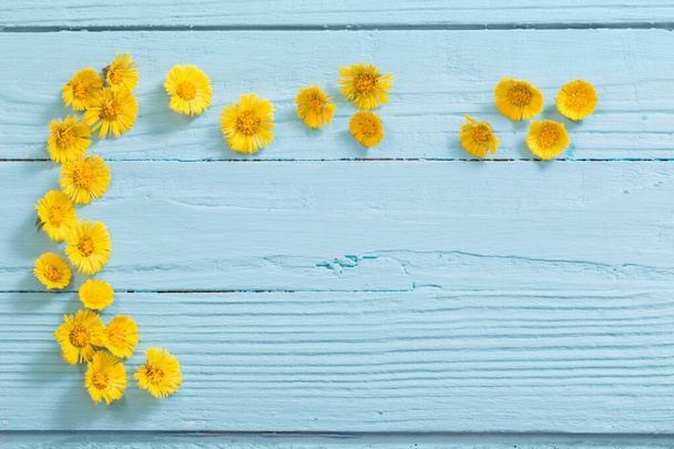 spring yellow flowers on wooden background - 写真・画像