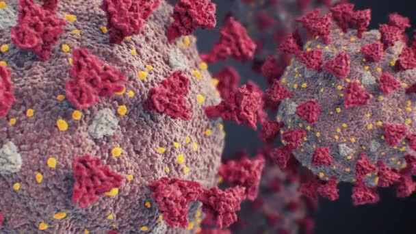 Skupina Covid-19 viry proudí v mikroskopické extrémní close-up bezešvé. Coronavirus Scientific Looped 3d Animation of 2019-ncov. Corona Virus Medical Concept. 4k Ultra HD 3840x2160. - Záběry, video