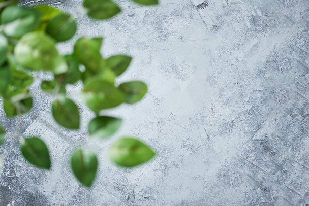 Abstract concrete background with blurred foreground green leaves. Blurred front and clear back. - Foto, afbeelding