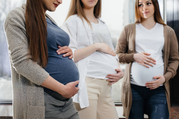 A group of young pregnant girls communicate in the prenatal class. Care and consultation of pregnant women - Fotoğraf, Görsel