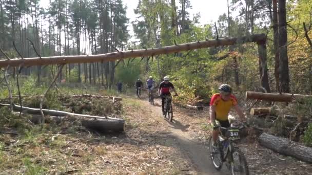 Cyclist Riding the Bike on the Beautiful Spring forest Trail. Kyiv, Ukraine, 20.03.2020 - Video