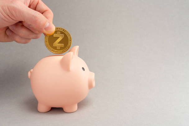 Zcash-Holding-Konzept. Sparschwein für Altmünzen. Kryptowährungssparsymbol. Ein Mann steckt Münzen in eine Spardose auf grauem Hintergrund. Kopierraum. - Foto, Bild
