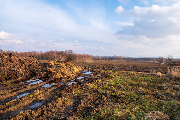 pile of manure with field and trees in background at sunset - Φωτογραφία, εικόνα