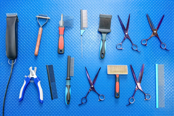 Exposition of pet grooming equipment isolated on blue background. Different devices for dogs and cats haircut, claw scissor, electric shaver for styling, comb for tangled fur. Beauty salon for animals - Φωτογραφία, εικόνα