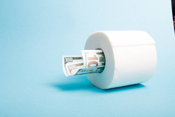 a roll of white toilet paper and a few notes worth 100 dollars, money in a roll of toilet paper, blue background copy space - Фото, изображение
