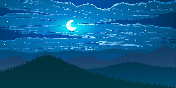 Vector landscape. Moonlight night in mountains valley. - Vetor, Imagem