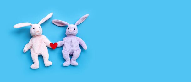Mavi arka planda oyuncak tavşan çift. Boşluğu kopyala - Fotoğraf, Görsel