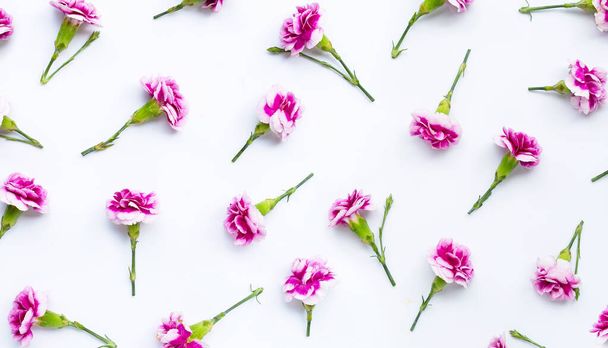 Carnation flower on white background.  Top view - Foto, Bild