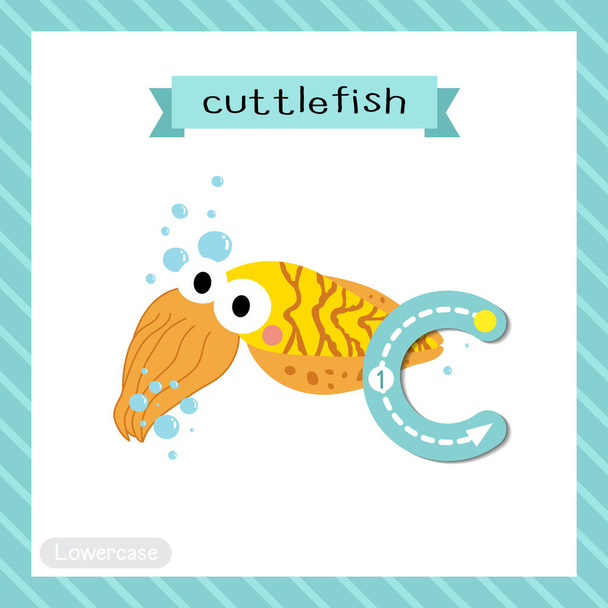 Letter C lowercase cute children colorful zoo and animals ABC alphabet tracing flashcard of Yellow Cuttlefish for kids learning English vocabulary and handwriting vector illustration. - Wektor, obraz