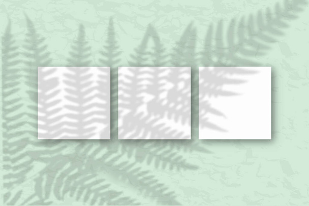 3 fogli quadrati di carta bianca strutturata sullo sfondo della parete grigio-verde. Mockup con una sovrapposizione di ombre vegetali. La luce naturale getta ombre dalle foglie di felce. Posa piatta, vista dall'alto
. - Foto, immagini