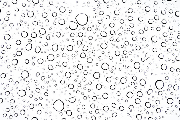 primer plano de las gotas de lluvia en un techo solar en un día nublado desde el interior de la perspectiva del coche
 - Foto, Imagen