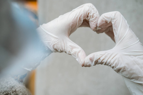 Woman hands wearing medical gloves, heart shaped. Health issues, virus protection concept, corona virus, covid 19 - Foto, Bild