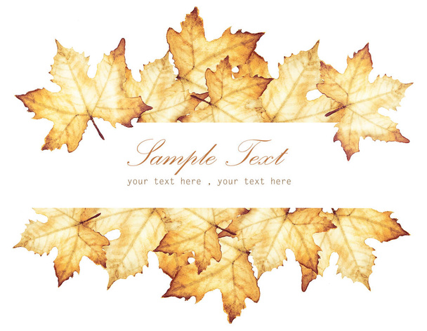 Watercolor painting of Autumn with place for text - maple leaves drawing. - Foto, immagini