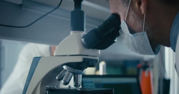 Naukowiec badający próbkę w mikroskopie - Materiał filmowy, wideo
