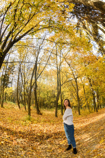 Autumn landscape. Woman in casual wear posing in park with yellow leaves - Fotó, kép