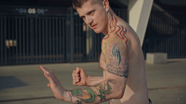 sem camisa e tatuado lutador de soco homem
  - Filmagem, Vídeo