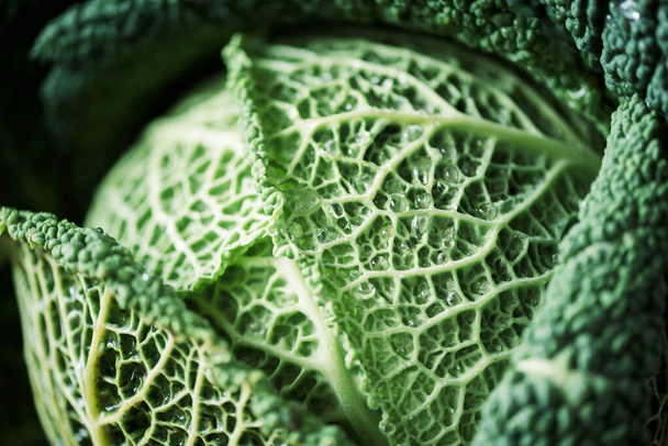 Raw green cabbage texture. Organic savoy cabbage background. Vegan and vegetarian diet concept - Фото, изображение
