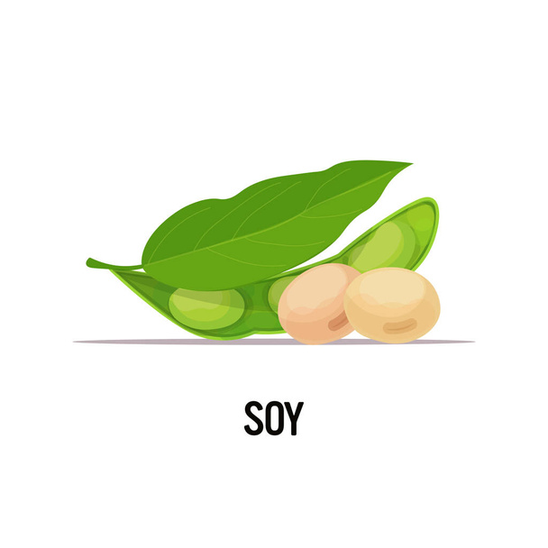 soy beans organic healthy vegetarian food on white background vector illustration - Vektor, Bild