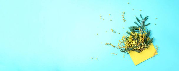 Gelber Umschlag mit Frühlingsblumen auf blauem Hintergrund. Mimosa anwesend zum Frauentag. Florale Komposition, kreatives Layout. Flache Lage, Draufsicht. Frühjahrs-, Sommer- oder Gartenkonzept. - Foto, Bild