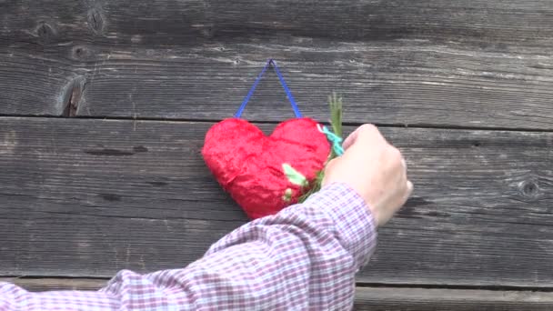 Hanging wild strawberries bunches near red heart symbol on wooden wall - Filmagem, Vídeo
