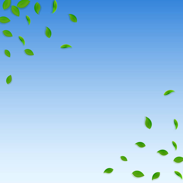 Hojas verdes cayendo. Té fresco hojas caóticas volar - Vector, Imagen