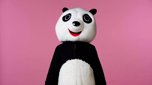 osoba v panda medvěd kostým mávání rukou izolované na růžové - Záběry, video