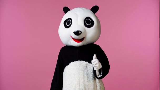 Person im Pandabären-Kostüm zeigt Daumen hoch vereinzelt auf rosa - Filmmaterial, Video