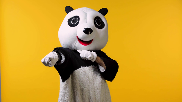 person in panda bear costume threatening isolated on yellow - Footage, Video