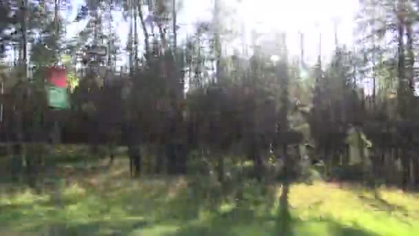 лесной размытый пейзаж из окна автомобиля
 - Кадры, видео