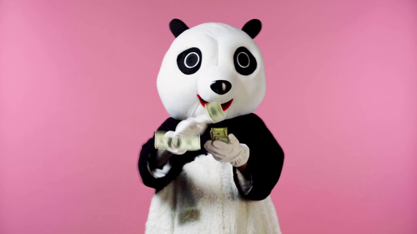 persoon in panda beer kostuum gooien geld in de lucht geïsoleerd op roze  - Video