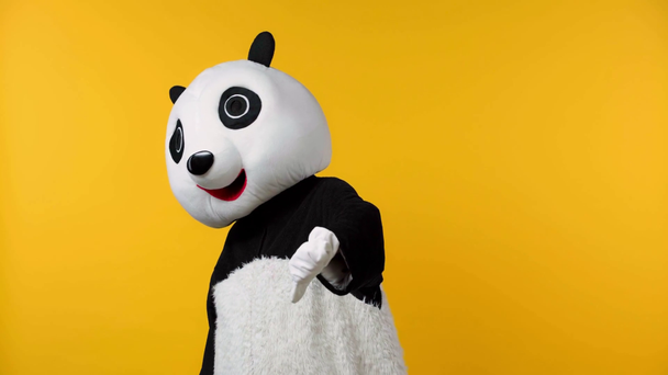 person in panda bear costume showing thumb down isolated on yellow  - Footage, Video