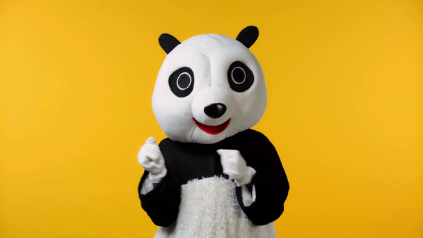 πρόσωπο στο κοστούμι panda αρκούδα χορό απομονωμένο σε κίτρινο  - Πλάνα, βίντεο