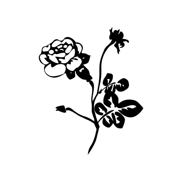 Róż sylwetki, wiosenne pąki znaków wektorowych. Czarna róża z liściem, natura kwiat róż ilustracja. - Wektor, obraz