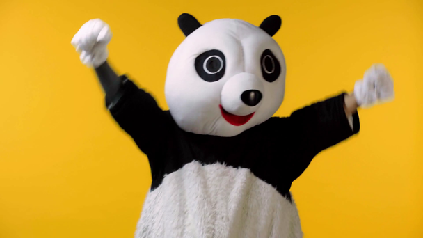 vzrušený člověk v panda medvěd kostým slaví izolované na žluté  - Záběry, video