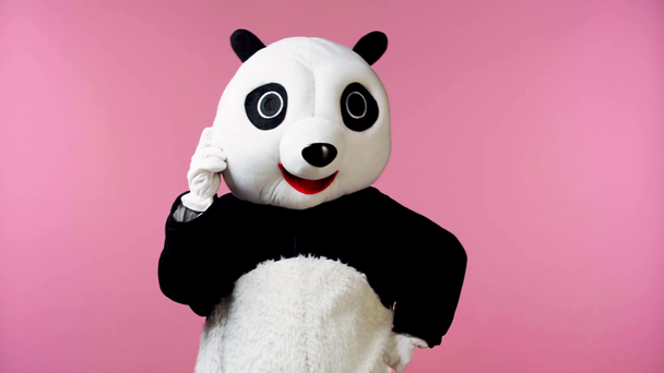 person in panda bear costume gesturing isolated on pink  - Video, Çekim