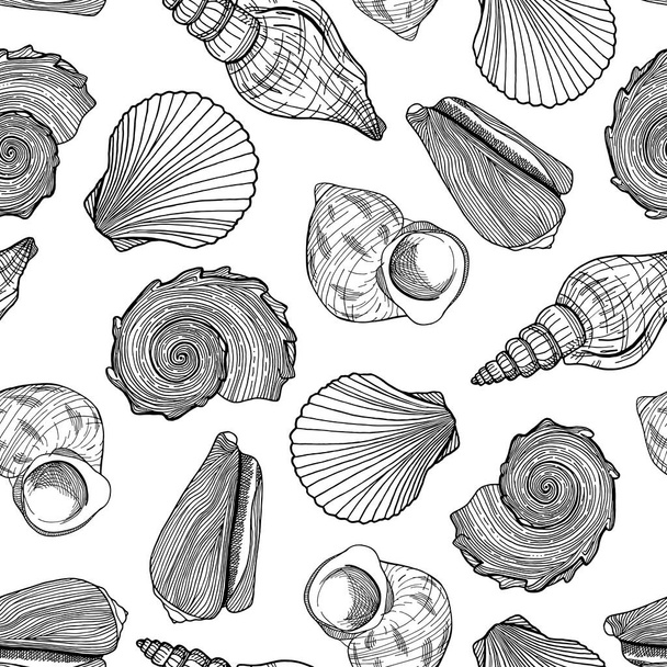 Black and white seamless pattern with seashells. Hand drawn outline vector illustration of underwater shells. Nautical background. Marine elements on white for cards, decoration, textile, print - Vector, Image