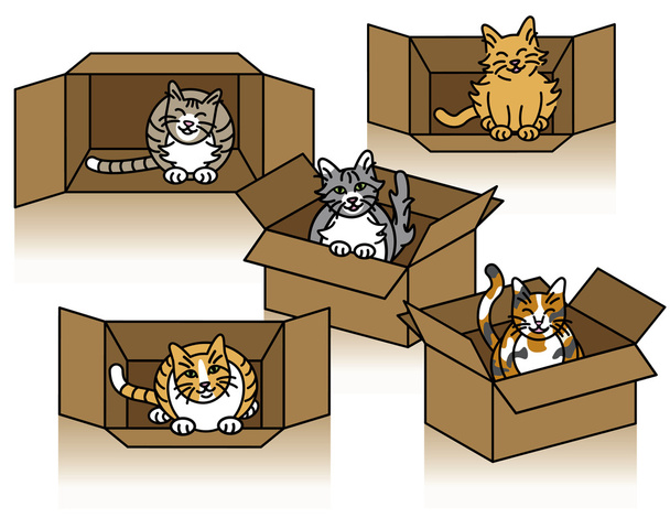 Aranyos macskák kartondobozban - Vektor, kép