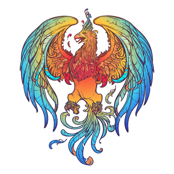 Dessin coloré et complexe du légendaire oiseau Phoenix. Dessin linéaire aux couleurs vives isolé sur fond blanc
 - Vecteur, image