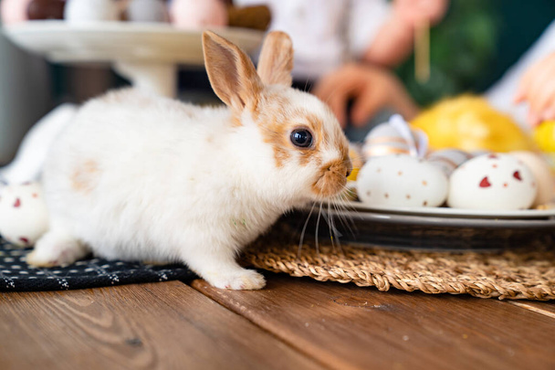 a Easter white rabbit on the table. traditions. - Fotoğraf, Görsel