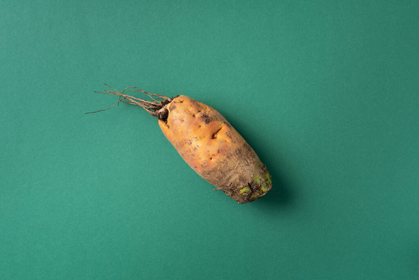 Ugly misshapen carrots on green background. Concept of zero waste production. Top view. Copy space. Non gmo vegetables - Photo, Image