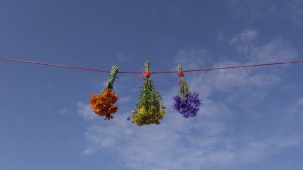 Three medical herb flowers bunch on string and sky background - Footage, Video