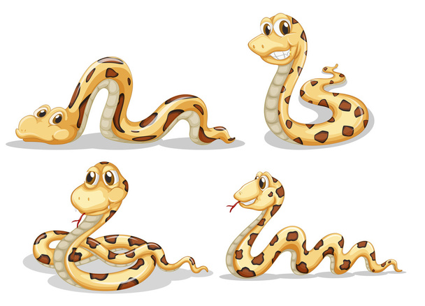 cztery węże straszny - Wektor, obraz