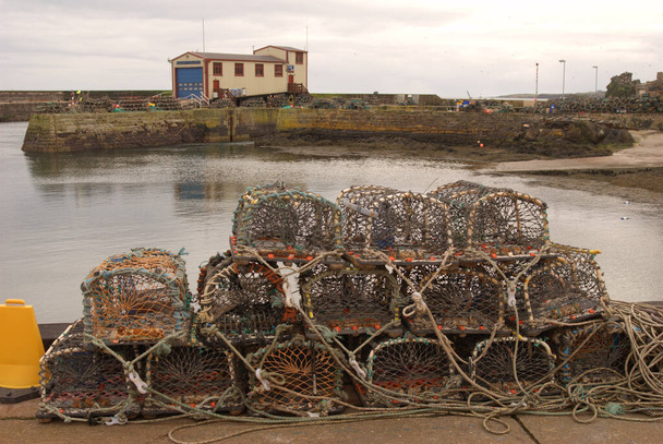 Berwickshire 'daki St. Abbs limanında ıstakoz saksısı - Fotoğraf, Görsel