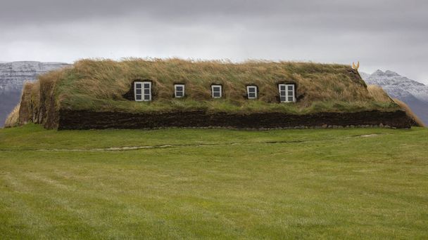 Grass on house roof in Varmahlio, Iceland  - Photo, Image