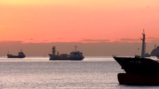 Navires à essence en attente dans la baie
  - Séquence, vidéo