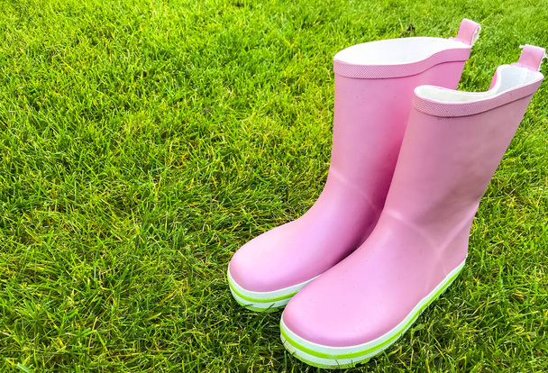 Розовые резиновые сапоги стоят на зеленой траве. Студия фото
 - Фото, изображение