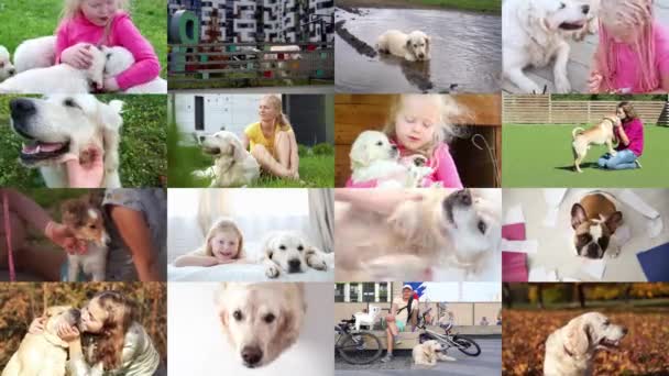 Liebe zu Haustieren. Hunde und ihre Besitzer, Collage. - Filmmaterial, Video