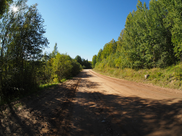 forest road - Photo, image