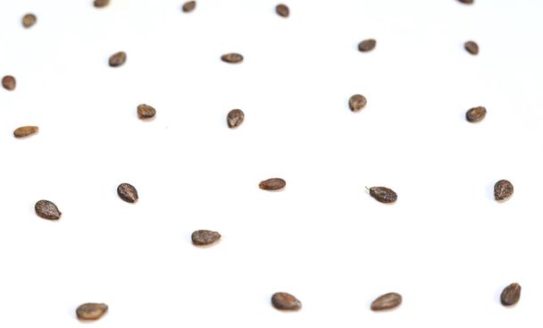 Семена арбуза, макроизолированные на белом фоне
 - Фото, изображение