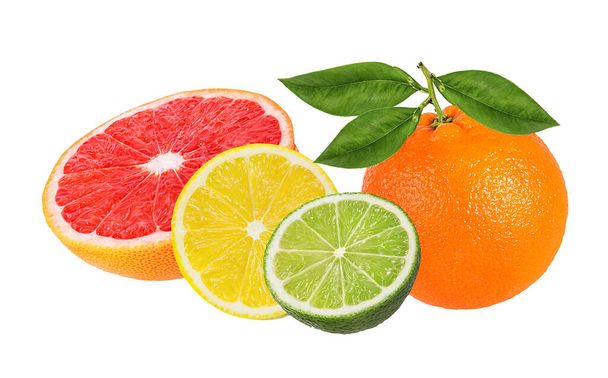Citrus Fruit Set orange, grapefruit, lime, lemon isolated on white background. - Foto, Imagem